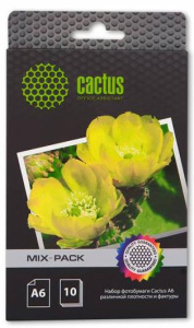 Бумага Cactus 10x15 Набор различной плотности и фактуры 10 видов 21л.
