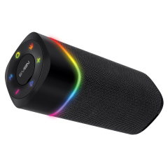 Акустика портативная SVEN PS-155 черный