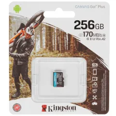 Карта SD 256 GB Kingston Class10  SDCG3/256Gb Canvas Go