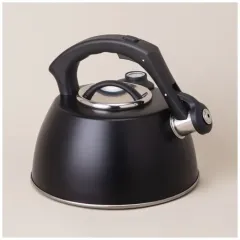 Чайник со свистком AGNESS ТЮДОР, с терм-м, индукция, 3 л., черный (908-065)