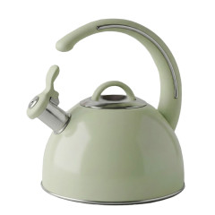 Чайник со свистком ASTIX SWK-T180G, нерж/светло-зеленый, 2,5 л.