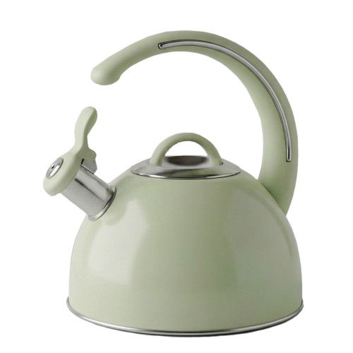 Чайник со свистком ASTIX SWK-T180G, нерж/светло-зеленый, 2,5 л.