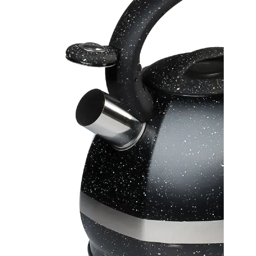 Чайник со свистком VETTA 