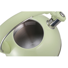 Чайник со свистком ASTIX SWK-T180G, нерж/светло-зеленый, 2,5 л.