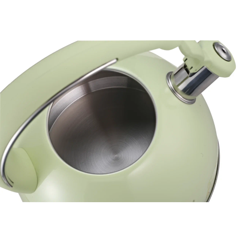 Чайник со свистком ASTIX SWK-T180G, нерж/светло-зеленый, 2,5 л.