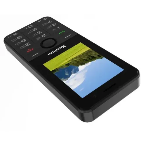 Сотовый телефон Xenium X900 черный