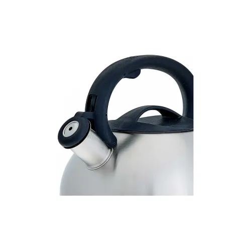 Чайник со свистком WEBBER BE-0587, нерж., 3 л.