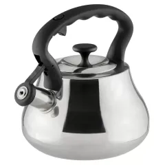 Чайник со свистком Daniks GS-04052A, индукция, нерж., черн.руч., 2,8 л.(480199)