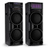 Акустика портативная ELTRONIC 30-52 CRAZY BOX