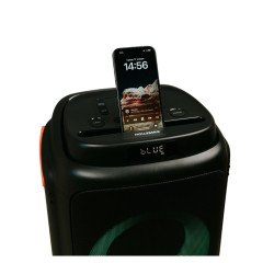 Акустика портативная HOLLEBERG HX-E837 (*10)