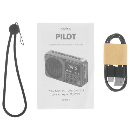 Радиоприемник PERFEO PF_D0575 PILOT серый