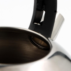 Чайник со свистком ДОЛЯНА «Рио», нерж., 2,8 л.(1405203)