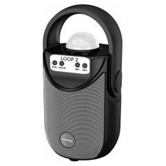 Акустика портативная SMARTBUY SBS-5060