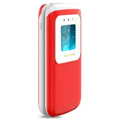 Сотовый телефон TEXET TM-325 гранатовый