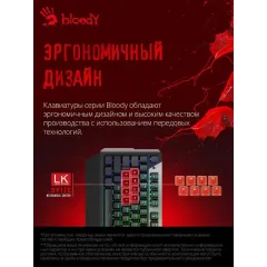 Клавиатура A4 Bloody B865N серый/черный