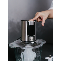 Измельчитель MOJO MJC-25