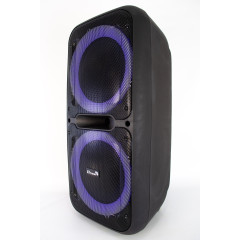 Акустика портативная ELTRONIC 20-05 DANCE BOX (*10)
