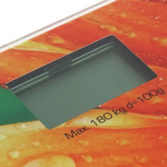 Весы напольные электронные CENTEK CT-2420 Гербера