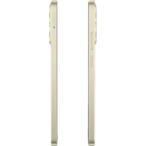 Сотовый телефон REALME C61 8/128Gb Gold