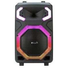 Акустика портативная ELTRONIC 30-40 CRAZY BOX 800  (*7)