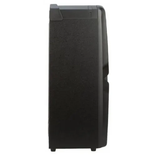Акустика портативная ELTRONIC 20-54 WAVE 300