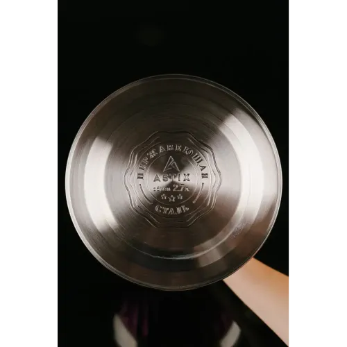 Чайник со свистком ASTIX SWK-520