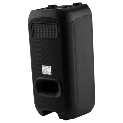 Акустика портативная ELTRONIC 20-92 черный (*9)