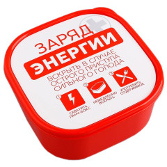 Ланч-бокс FoodVibes «Заряд энергии», 700 мл (4569089)