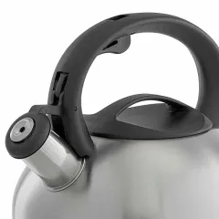 Чайник со свистком WEBBER BE-0599, нерж., 2,5 л.
