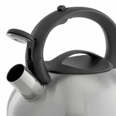 Чайник со свистком WEBBER BE-0599, нерж., 2,5 л.
