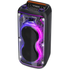 Акустика портативная ELTRONIC 20-90 DANCE BOX 800 