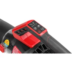 Воздуходувка WORTEX BB 2536 D ALL1 XLT SOLO (0333234)