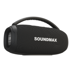 Акустика портативная SOUNDMAX SM-PS5031B