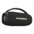 Акустика портативная SOUNDMAX SM-PS5031B