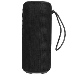 Акустика портативная AIWA PAS-H300 черный