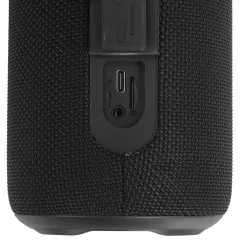 Акустика портативная AIWA PAS-H300 черный