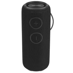 Акустика портативная AIWA PAS-H300 черный