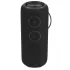 Акустика портативная AIWA PAS-H300 черный