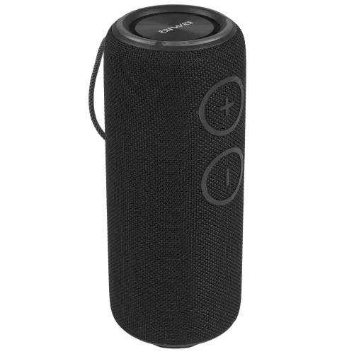 Акустика портативная AIWA PAS-H300 черный
