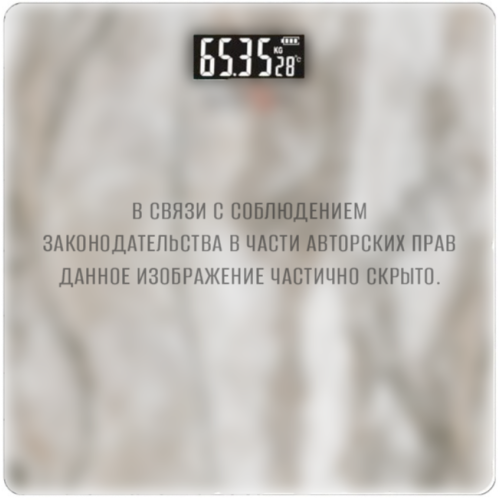 Весы напольные электронные MAXTRONIC MAX-305, 30х30 см
