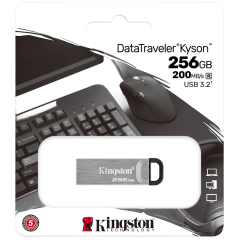 Карта USB3.2 256 GB Kingston DataTraveler Kyson серебристый