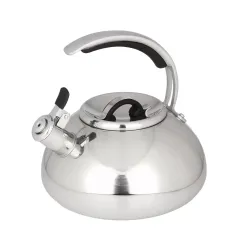 Чайник со свистком Daniks GS-04590 Expert, индукция, нерж., 3 л.(480194)