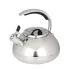 Чайник со свистком Daniks GS-04590 Expert, индукция, нерж., 3 л.(480194)