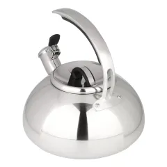 Чайник со свистком Daniks GS-04590 Expert, индукция, нерж., 3 л.(480194)