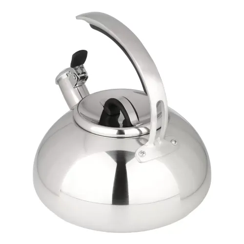Чайник со свистком Daniks GS-04590 Expert, индукция, нерж., 3 л.(480194)
