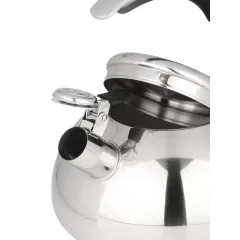 Чайник со свистком Daniks GS-04590 Expert, индукция, нерж., 3 л.(480194)
