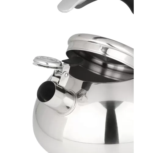 Чайник со свистком Daniks GS-04590 Expert, индукция, нерж., 3 л.(480194)