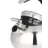 Чайник со свистком Daniks GS-04590 Expert, индукция, нерж., 3 л.(480194)