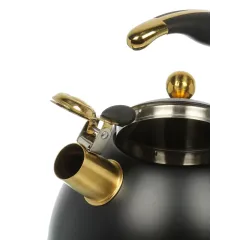 Чайник со свистком Daniks WT-T1054-BLK Carezza, индукция, черн../золот., 3 л.(516957)