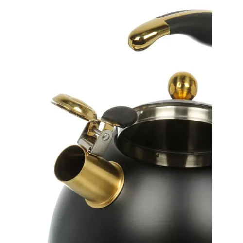 Чайник со свистком Daniks WT-T1054-BLK Carezza, индукция, черн../золот., 3 л.(516957)